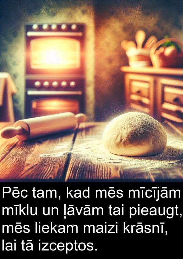 krāsnī: Pēc tam, kad mēs mīcījām mīklu un ļāvām tai pieaugt, mēs liekam maizi krāsnī, lai tā izceptos.