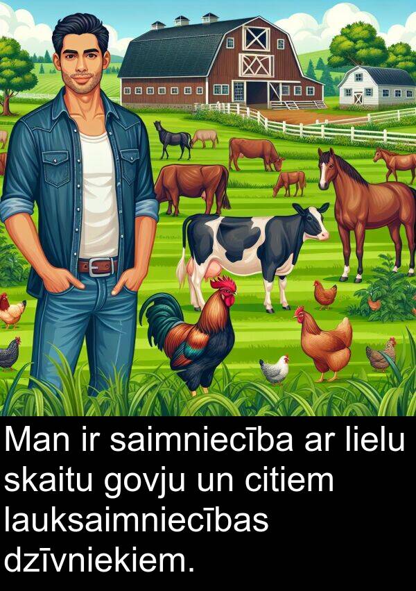 lielu: Man ir saimniecība ar lielu skaitu govju un citiem lauksaimniecības dzīvniekiem.