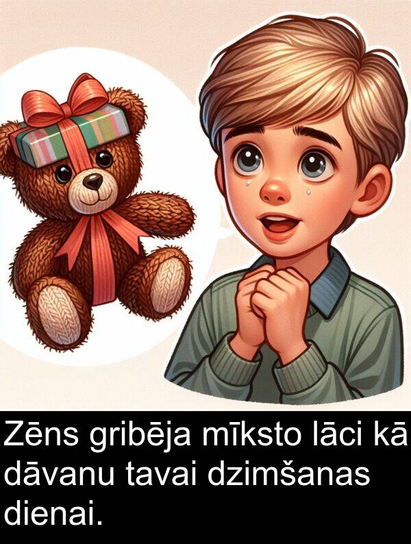 lāci: Zēns gribēja mīksto lāci kā dāvanu tavai dzimšanas dienai.
