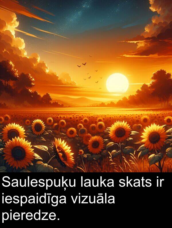 vizuāla: Saulespuķu lauka skats ir iespaidīga vizuāla pieredze.