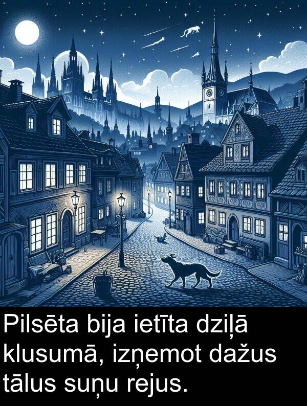 rejus: Pilsēta bija ietīta dziļā klusumā, izņemot dažus tālus suņu rejus.
