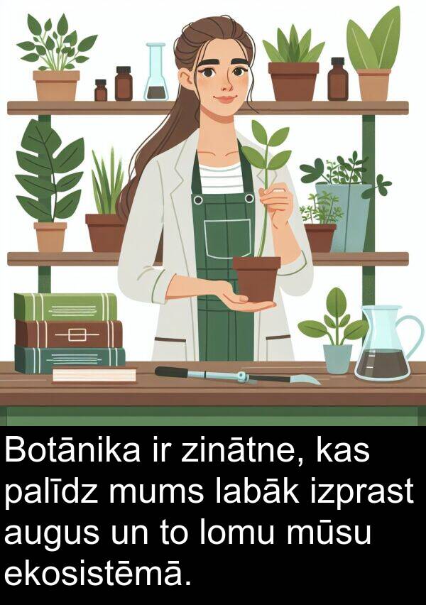 labāk: Botānika ir zinātne, kas palīdz mums labāk izprast augus un to lomu mūsu ekosistēmā.