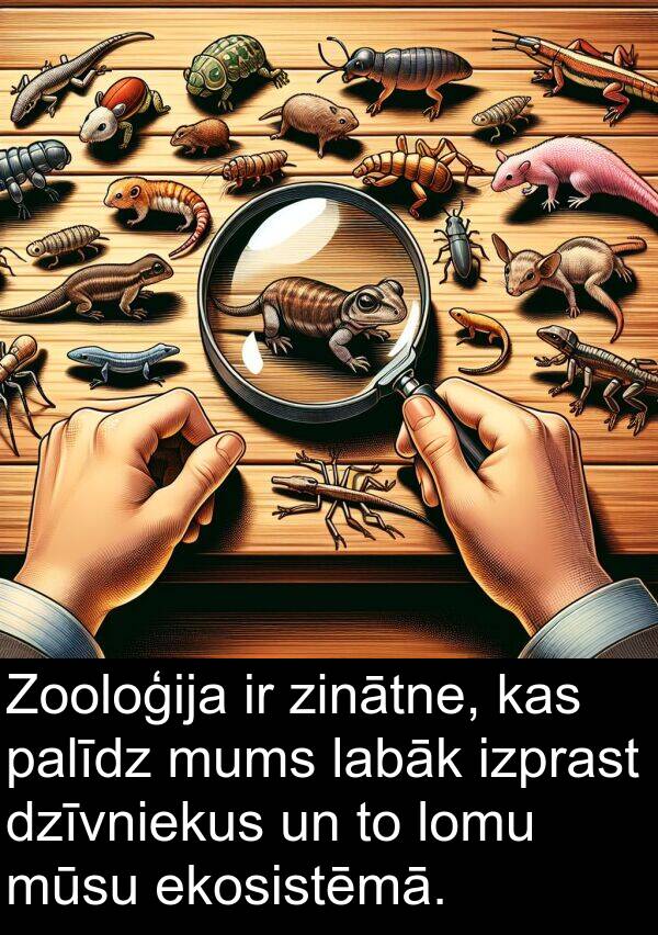 labāk: Zooloģija ir zinātne, kas palīdz mums labāk izprast dzīvniekus un to lomu mūsu ekosistēmā.