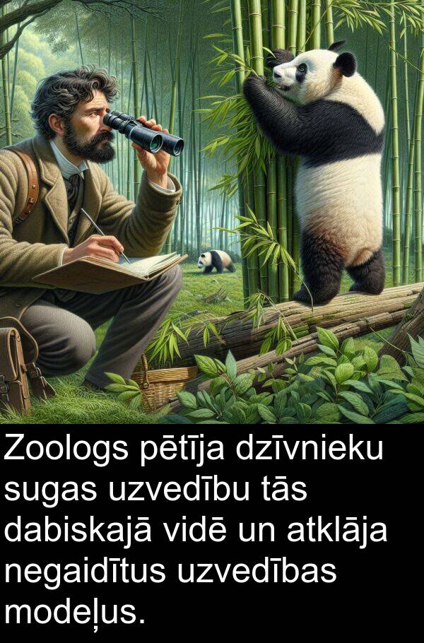 sugas: Zoologs pētīja dzīvnieku sugas uzvedību tās dabiskajā vidē un atklāja negaidītus uzvedības modeļus.