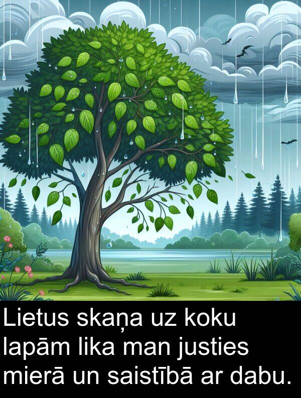 koku: Lietus skaņa uz koku lapām lika man justies mierā un saistībā ar dabu.