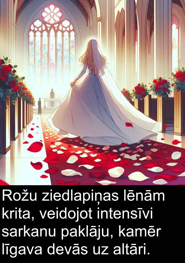krita: Rožu ziedlapiņas lēnām krita, veidojot intensīvi sarkanu paklāju, kamēr līgava devās uz altāri.