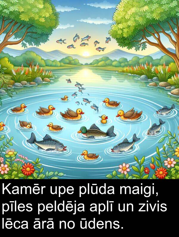 maigi: Kamēr upe plūda maigi, pīles peldēja aplī un zivis lēca ārā no ūdens.