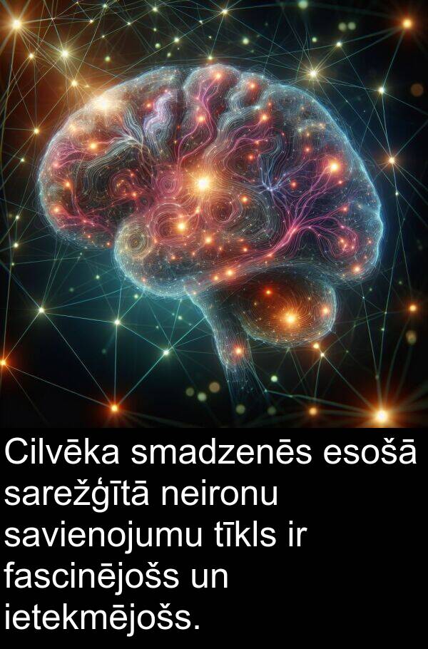 fascinējošs: Cilvēka smadzenēs esošā sarežģītā neironu savienojumu tīkls ir fascinējošs un ietekmējošs.