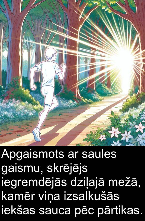 gaismu: Apgaismots ar saules gaismu, skrējējs iegremdējās dziļajā mežā, kamēr viņa izsalkušās iekšas sauca pēc pārtikas.