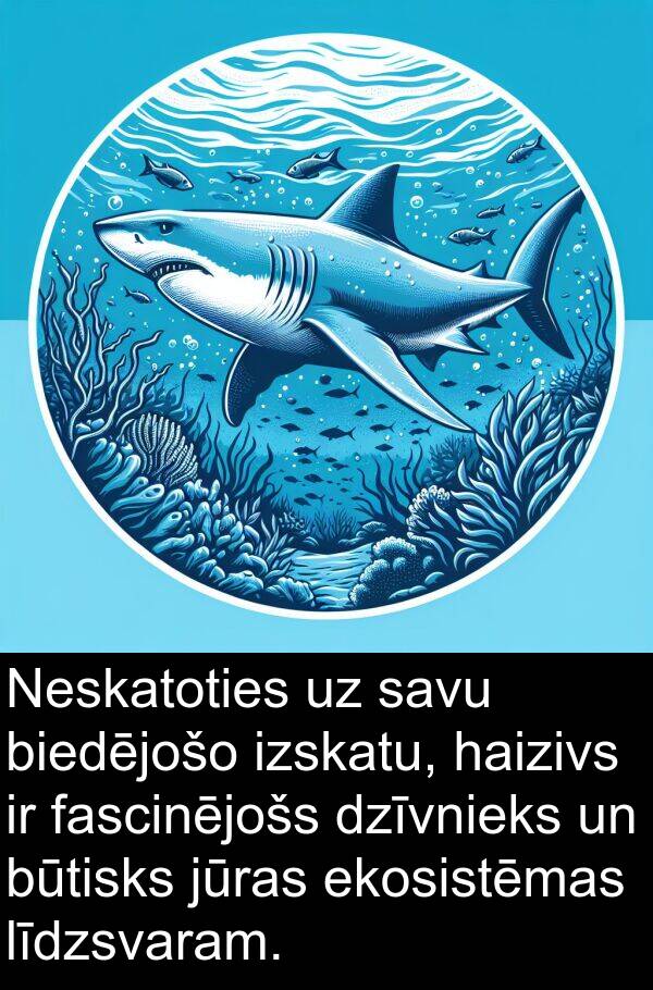 haizivs: Neskatoties uz savu biedējošo izskatu, haizivs ir fascinējošs dzīvnieks un būtisks jūras ekosistēmas līdzsvaram.