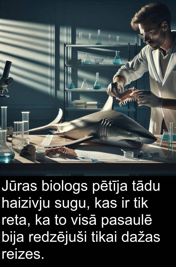 haizivju: Jūras biologs pētīja tādu haizivju sugu, kas ir tik reta, ka to visā pasaulē bija redzējuši tikai dažas reizes.
