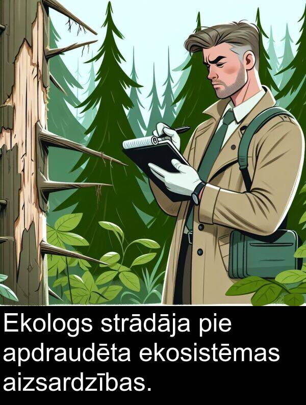 ekosistēmas: Ekologs strādāja pie apdraudēta ekosistēmas aizsardzības.