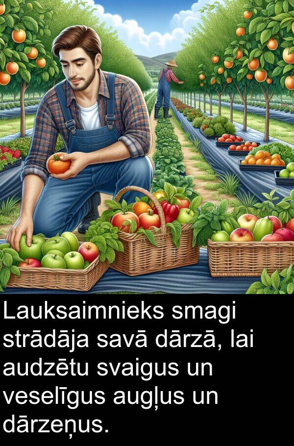 smagi: Lauksaimnieks smagi strādāja savā dārzā, lai audzētu svaigus un veselīgus augļus un dārzeņus.