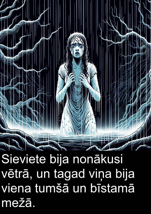viena: Sieviete bija nonākusi vētrā, un tagad viņa bija viena tumšā un bīstamā mežā.