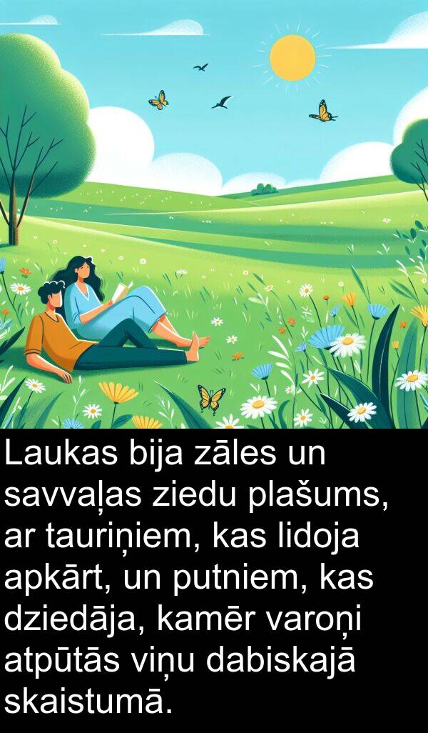 ziedu: Laukas bija zāles un savvaļas ziedu plašums, ar tauriņiem, kas lidoja apkārt, un putniem, kas dziedāja, kamēr varoņi atpūtās viņu dabiskajā skaistumā.