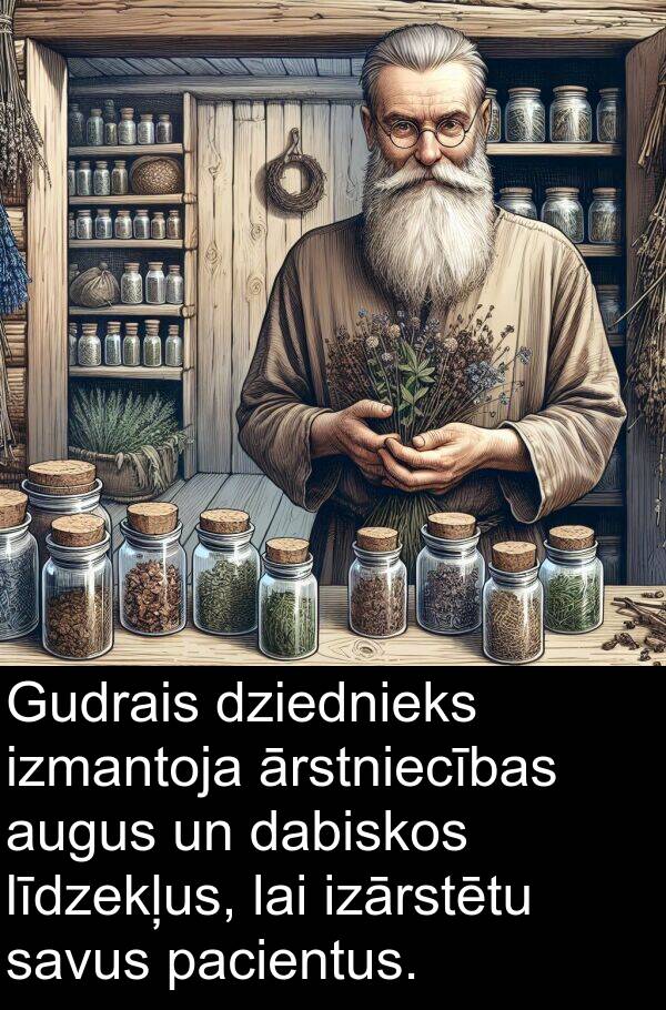 pacientus: Gudrais dziednieks izmantoja ārstniecības augus un dabiskos līdzekļus, lai izārstētu savus pacientus.