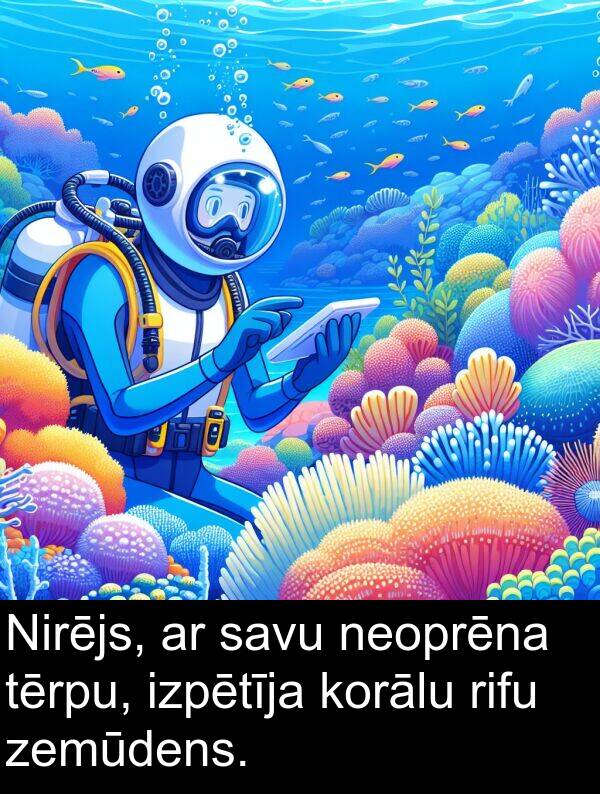 zemūdens: Nirējs, ar savu neoprēna tērpu, izpētīja korālu rifu zemūdens.