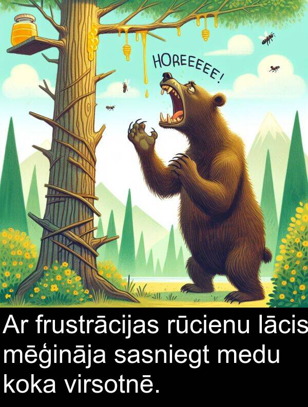 koka: Ar frustrācijas rūcienu lācis mēģināja sasniegt medu koka virsotnē.