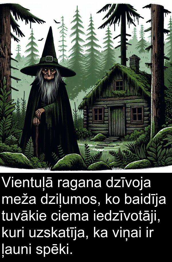 kuri: Vientuļā ragana dzīvoja meža dziļumos, ko baidīja tuvākie ciema iedzīvotāji, kuri uzskatīja, ka viņai ir ļauni spēki.