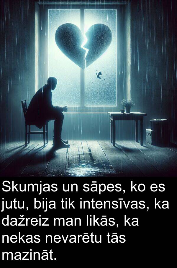likās: Skumjas un sāpes, ko es jutu, bija tik intensīvas, ka dažreiz man likās, ka nekas nevarētu tās mazināt.