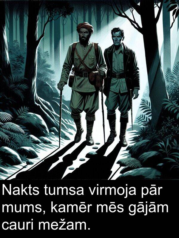 kamēr: Nakts tumsa virmoja pār mums, kamēr mēs gājām cauri mežam.