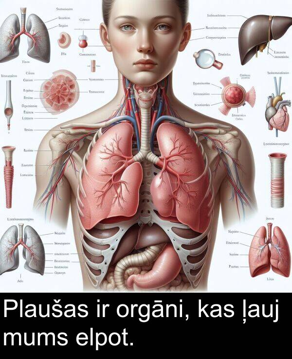 orgāni: Plaušas ir orgāni, kas ļauj mums elpot.