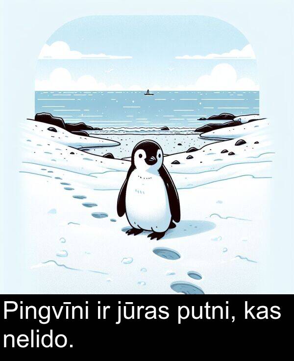 putni: Pingvīni ir jūras putni, kas nelido.