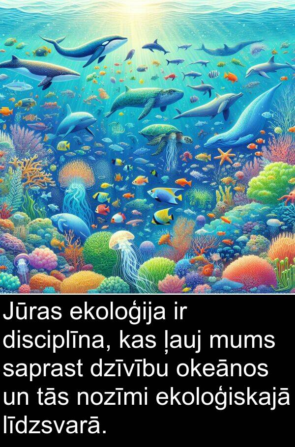ļauj: Jūras ekoloģija ir disciplīna, kas ļauj mums saprast dzīvību okeānos un tās nozīmi ekoloģiskajā līdzsvarā.