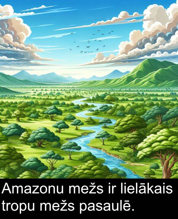 lielākais: Amazonu mežs ir lielākais tropu mežs pasaulē.
