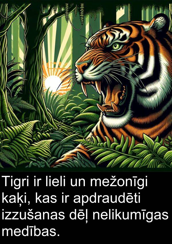 kaķi: Tigri ir lieli un mežonīgi kaķi, kas ir apdraudēti izzušanas dēļ nelikumīgas medības.