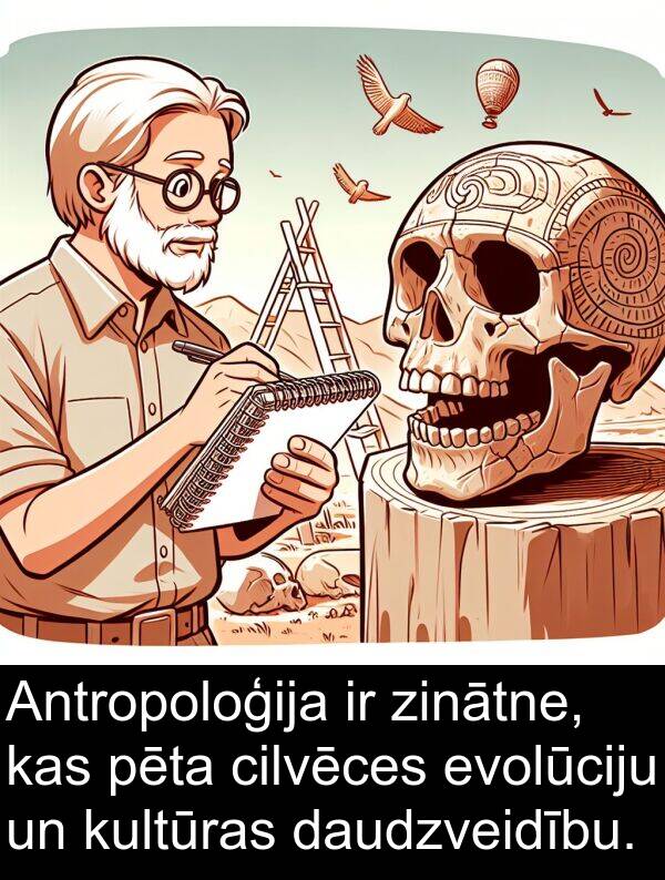 kultūras: Antropoloģija ir zinātne, kas pēta cilvēces evolūciju un kultūras daudzveidību.