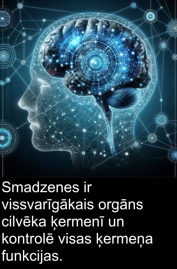 kontrolē: Smadzenes ir vissvarīgākais orgāns cilvēka ķermenī un kontrolē visas ķermeņa funkcijas.