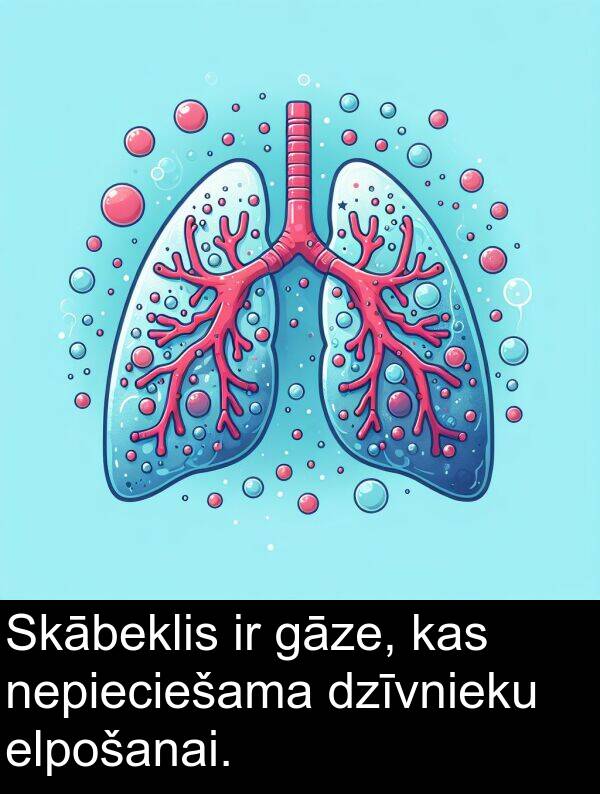 nepieciešama: Skābeklis ir gāze, kas nepieciešama dzīvnieku elpošanai.