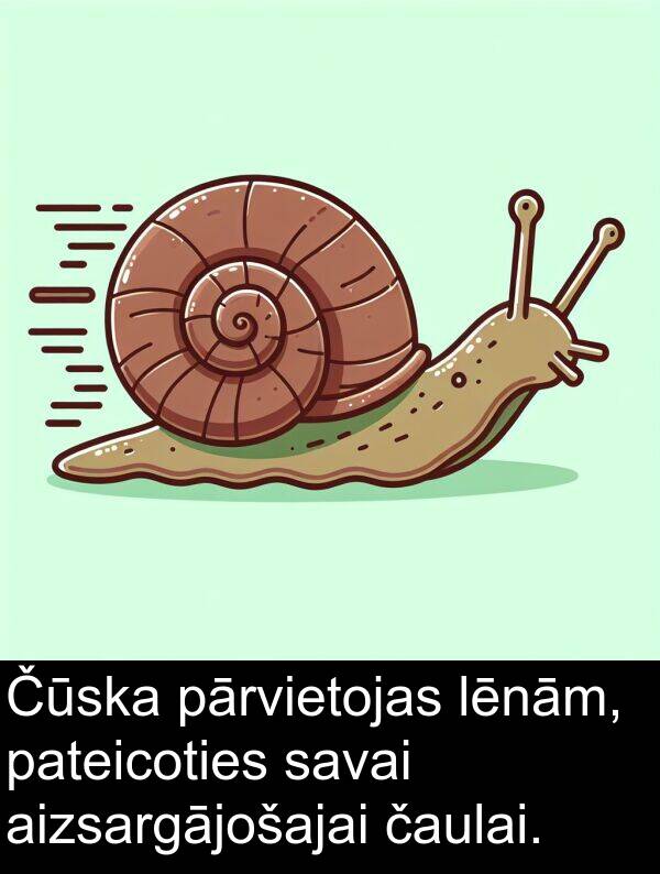 čaulai: Čūska pārvietojas lēnām, pateicoties savai aizsargājošajai čaulai.