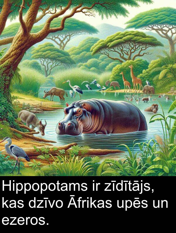 upēs: Hippopotams ir zīdītājs, kas dzīvo Āfrikas upēs un ezeros.