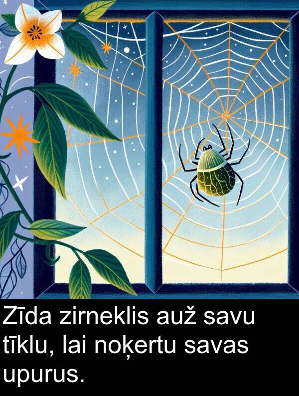 upurus: Zīda zirneklis auž savu tīklu, lai noķertu savas upurus.