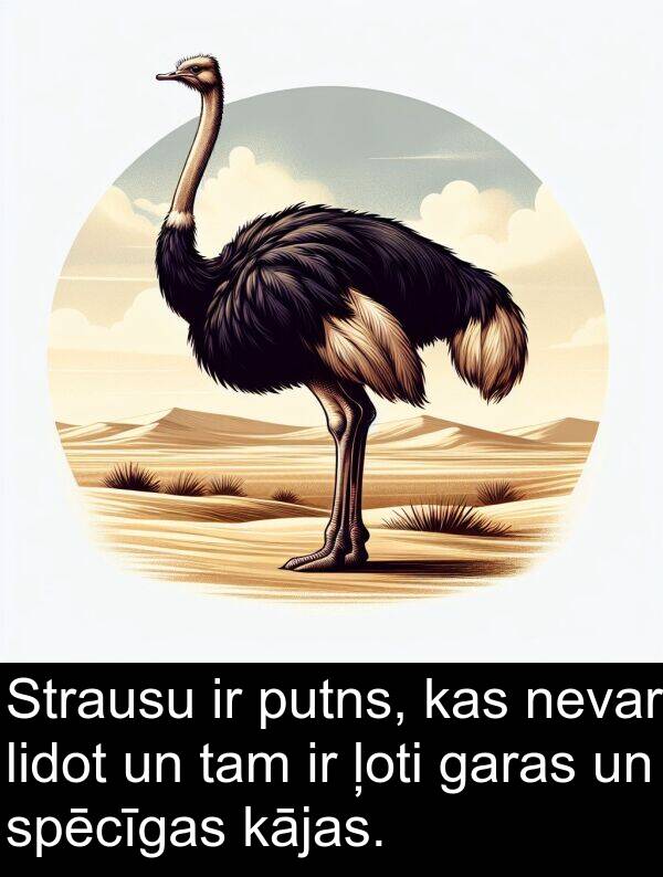 kājas: Strausu ir putns, kas nevar lidot un tam ir ļoti garas un spēcīgas kājas.