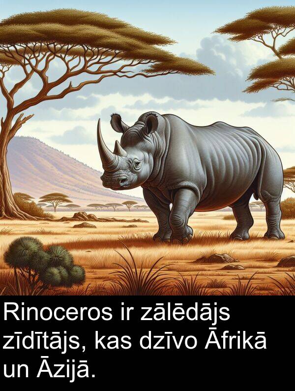 zālēdājs: Rinoceros ir zālēdājs zīdītājs, kas dzīvo Āfrikā un Āzijā.