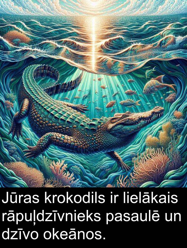 krokodils: Jūras krokodils ir lielākais rāpuļdzīvnieks pasaulē un dzīvo okeānos.