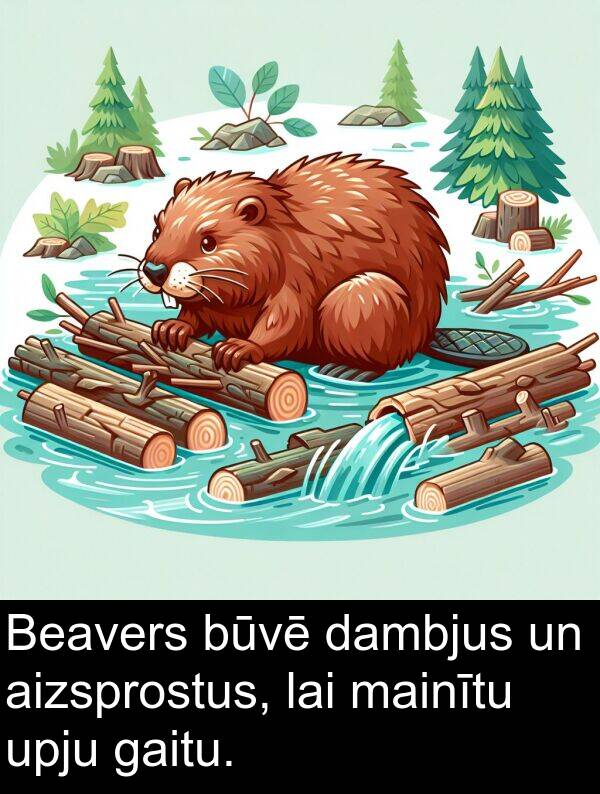 gaitu: Beavers būvē dambjus un aizsprostus, lai mainītu upju gaitu.