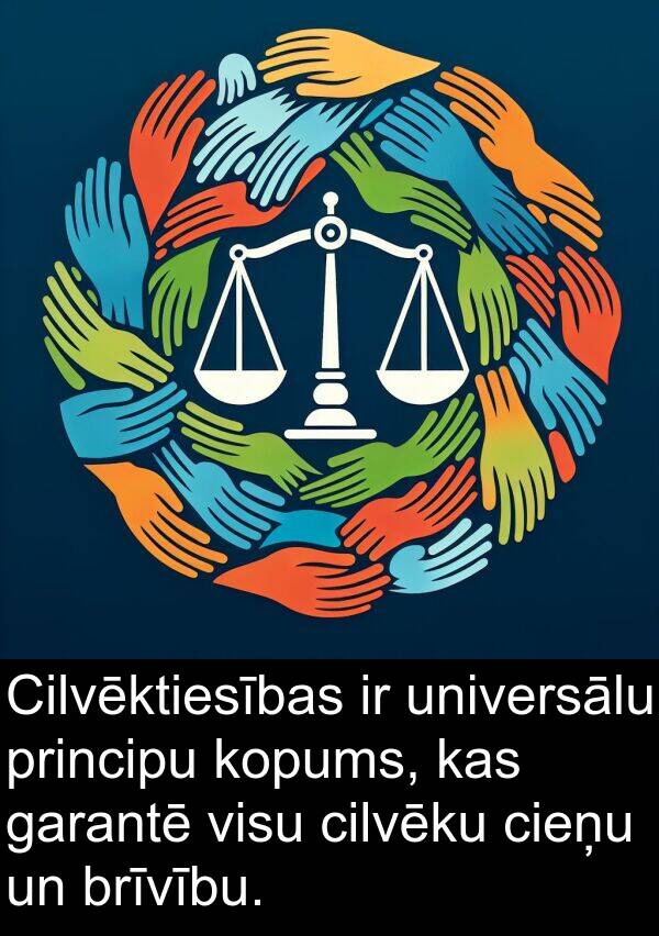 garantē: Cilvēktiesības ir universālu principu kopums, kas garantē visu cilvēku cieņu un brīvību.