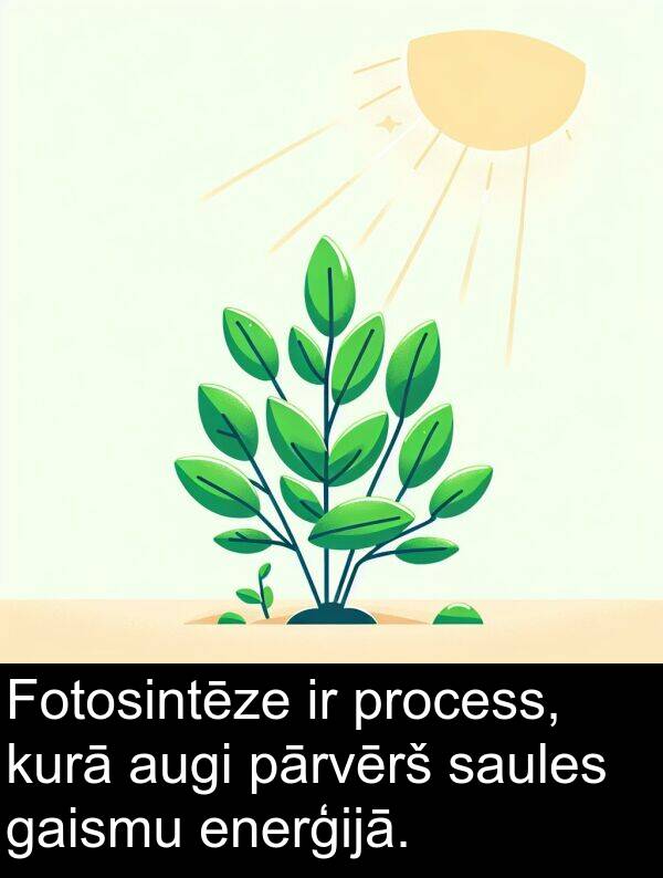 kurā: Fotosintēze ir process, kurā augi pārvērš saules gaismu enerģijā.