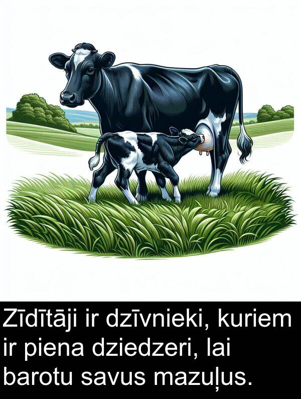 kuriem: Zīdītāji ir dzīvnieki, kuriem ir piena dziedzeri, lai barotu savus mazuļus.