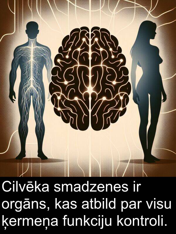 kontroli: Cilvēka smadzenes ir orgāns, kas atbild par visu ķermeņa funkciju kontroli.