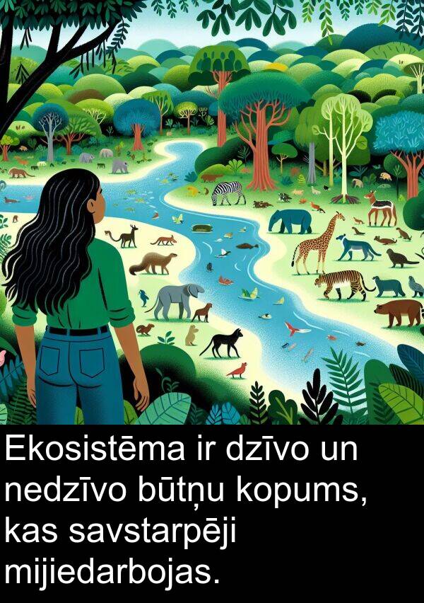 dzīvo: Ekosistēma ir dzīvo un nedzīvo būtņu kopums, kas savstarpēji mijiedarbojas.