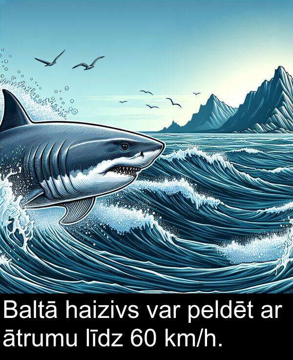 haizivs: Baltā haizivs var peldēt ar ātrumu līdz 60 km/h.