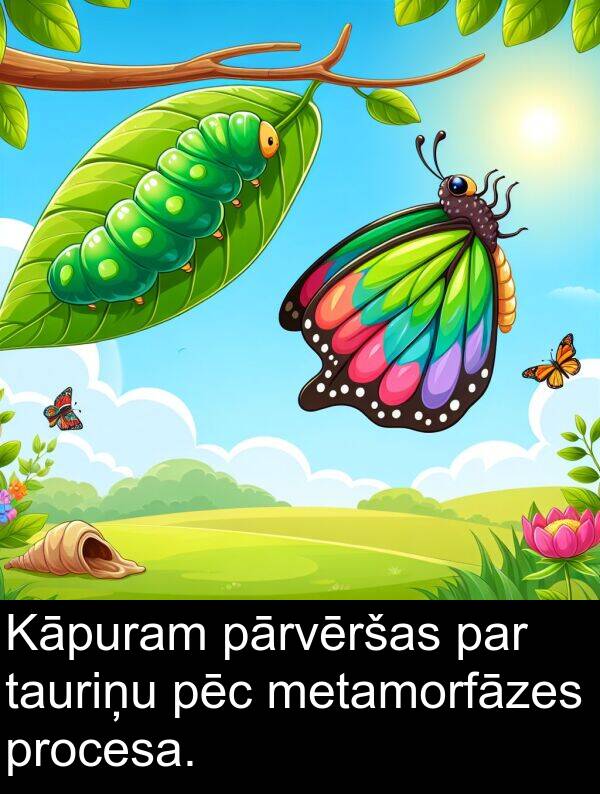 pēc: Kāpuram pārvēršas par tauriņu pēc metamorfāzes procesa.