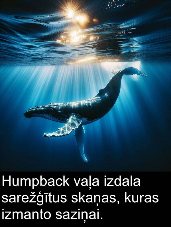 kuras: Humpback vaļa izdala sarežģītus skaņas, kuras izmanto saziņai.