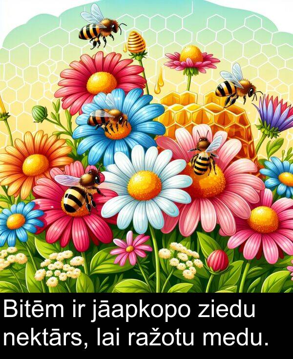 ziedu: Bitēm ir jāapkopo ziedu nektārs, lai ražotu medu.