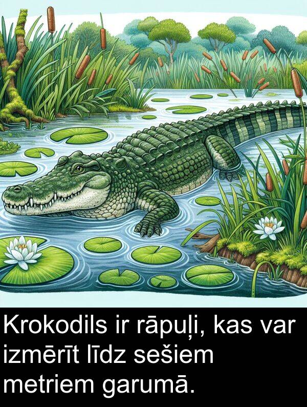 metriem: Krokodils ir rāpuļi, kas var izmērīt līdz sešiem metriem garumā.